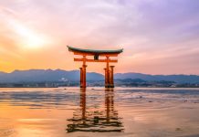 Richard Hogg joins CasinoBeats to talk about Japan's current landscape for online gambling in the country and localisation within the market.