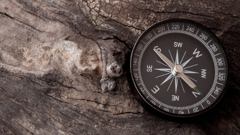 Navigating European online gaming complexities, with Evoplay’s Ihor Zarechnyi