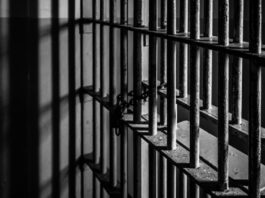 Scam Artist Jailed After Stealing Over $1M From Women to Gamble Prison