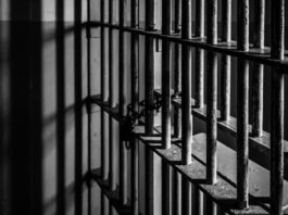 Prison Officer Jailed After Gambling on Phone Caused Crash Into Pregnant Woman Prison