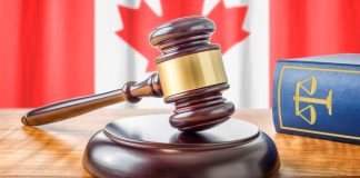 Canada fine gavel