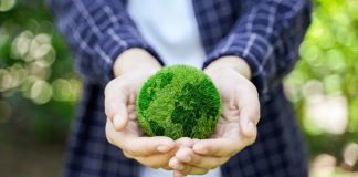 Person holding green globe