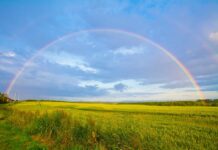 A Rainbow Over a Field