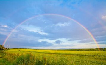 A Rainbow Over a Field