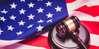 Lucchese Member and Associates Plead Guilty in $25M NYC Gambling Case Five members of a criminal family have plead guilty in New York City