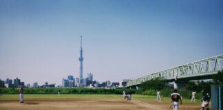 Japanese Residents ‘Spend $44.2 Billion Per Year on Illegal Sports Betting Sites’