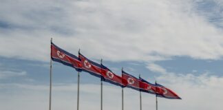 North Korean Flags