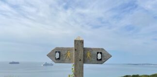 Maine Senate Advances Online Casino Bill Amid Procedural Drama and Lingering Uncertainty