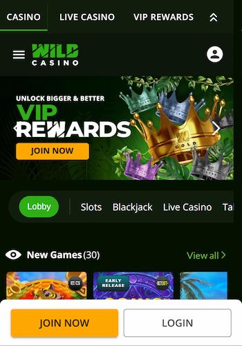 wild casino casino that takes cash app
