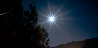 Bright starburst effect in a night sky over a forested mountain landscape, with silhouetted trees and a glowing light illuminating the horizon.