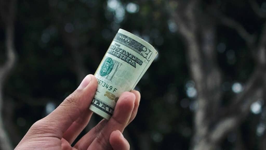 A close-up of a hand holding a rolled-up U.S. twenty-dollar bill, with a blurred natural background of trees and soft light.