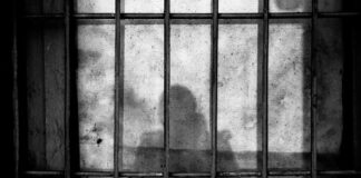 Black and white photo of a shadow behind bars.