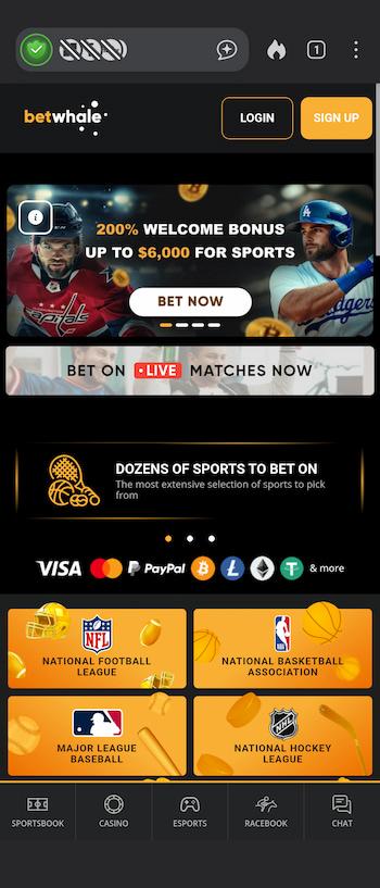 BetWhale sportsbook
