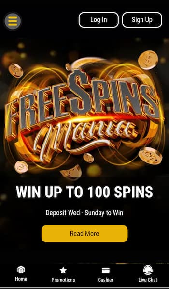 Black Lotus Casino free spins bonus