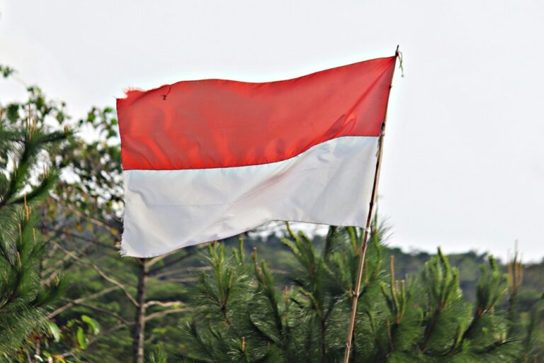 Indonesian flag