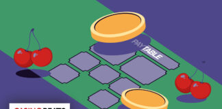 Illustrated slot machine paytable with coin symbols and cherries