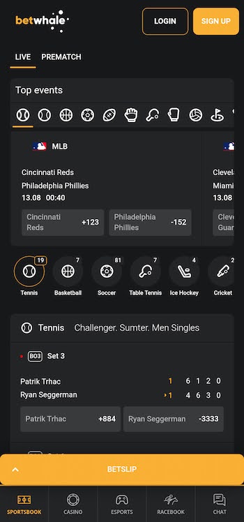 betwhale nevada betting site