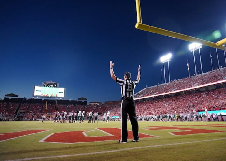Football referee signaling touchdown in stadium during game