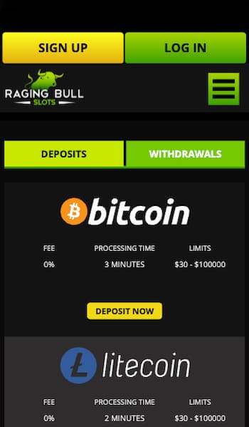 Raging Bull Top casino Payment Methods