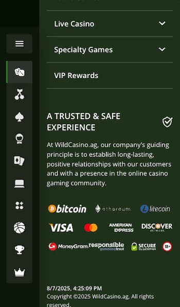 USA casino payment methods at Wild Casino