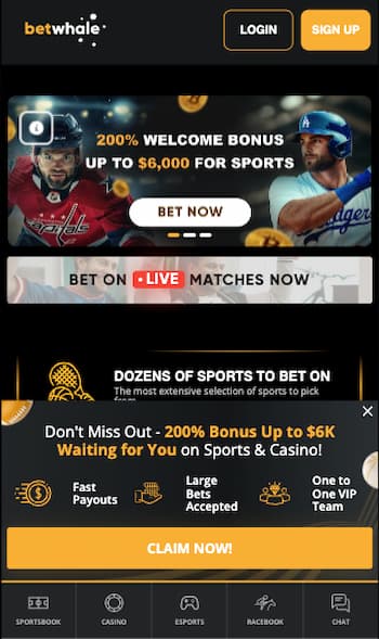 BetWhale homepage with sports and casino bonus