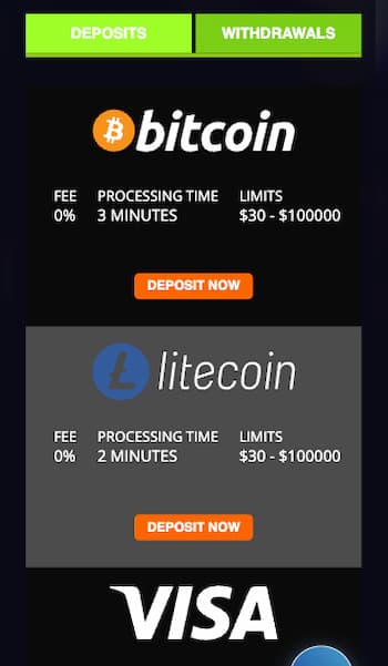 Banking options at Wild Vegas Inclave casino