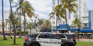 Florida Authorities Seize 249 Illegal Slot Machines Across Five Port Richey Locations Police SUVs parked on grass in front of palm trees and art deco buildings