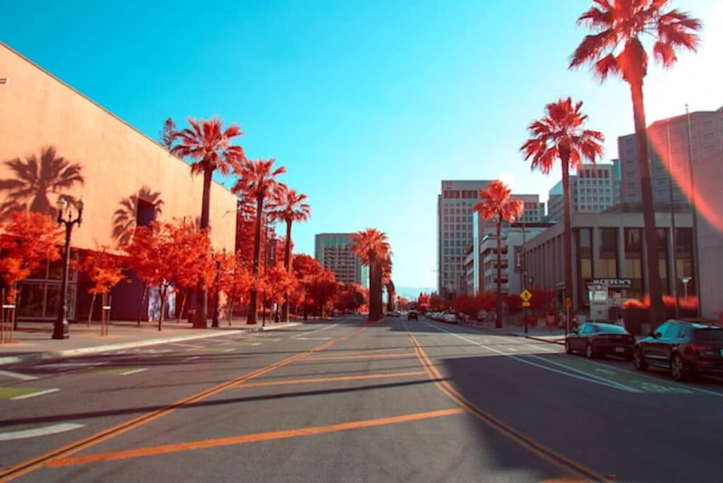 Downtown San Jose street with palm trees and buildings