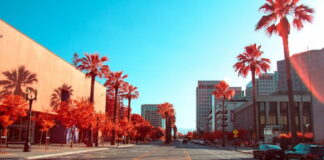 San Jose Cuts Cardroom Fees as California AG & Tribes Turn Up the Heat Downtown San Jose street with palm trees and buildings