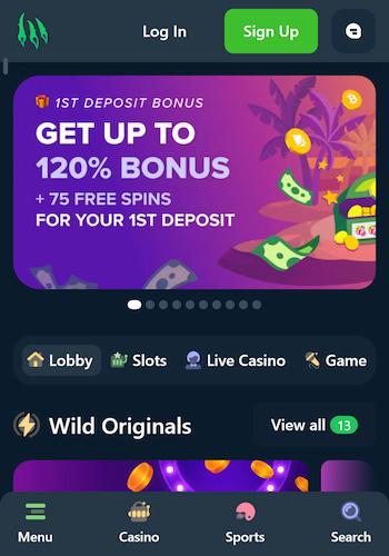 wild.io offshore casino