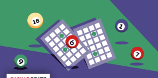 Bingo cards and balls illustration