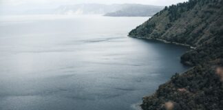 Indonesian Civil Servants, Government Workers Suspected of Gambling Online Indonesia