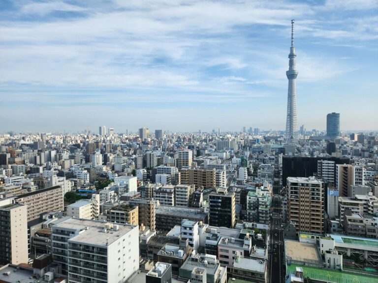 A view over the city of Tokyo