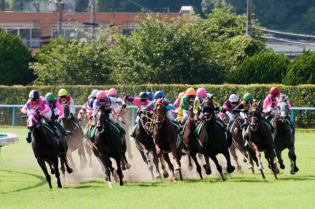 A horse race at Japan’s Kokura Racecourse, in Kitakyushu, Fukuoka Prefecture.