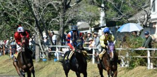 Police Arrest Website Operators Who Offered Odds on South Korean & Japanese Horse Races Japanese horse racing
