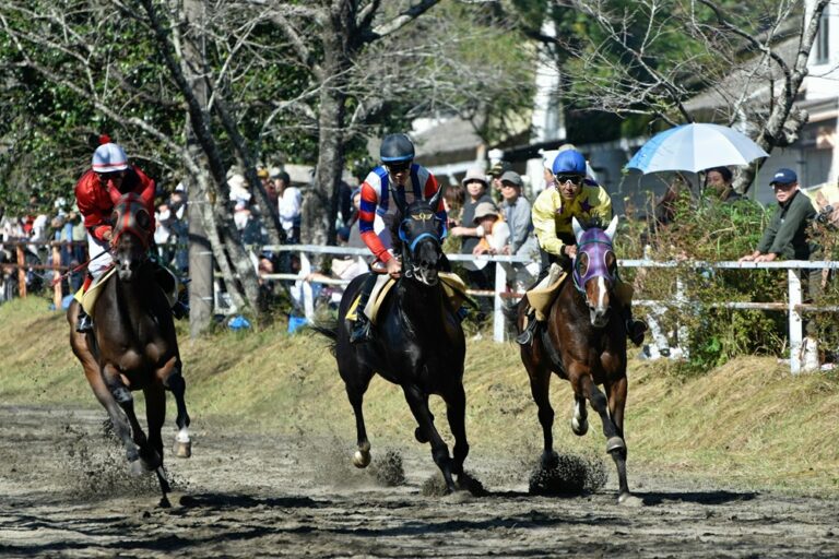 Japanese horse racing