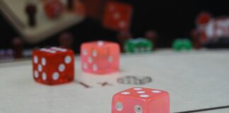 Thai Police Arrest 19 in Raid on ‘Loaded Dice Gambling Den’ in Rubber Plantation