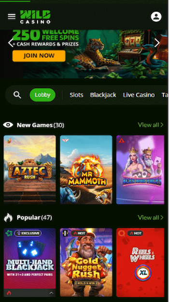 Wild Casino new games