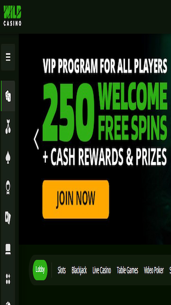Wild Casino250 free spins welcome bonus