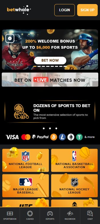 Betwhale mississippi online casino homepage