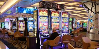 Gaming Arts Reportedly Bringing Evolution Slots to Land-Based Casinos Row of slot machines glowing with bright lights on a casino floor