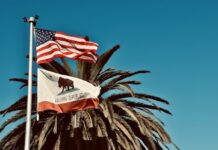 Palm tree with American and California flags waving in the wind against a clear blue sky