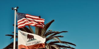 Palm tree with American and California flags waving in the wind against a clear blue sky