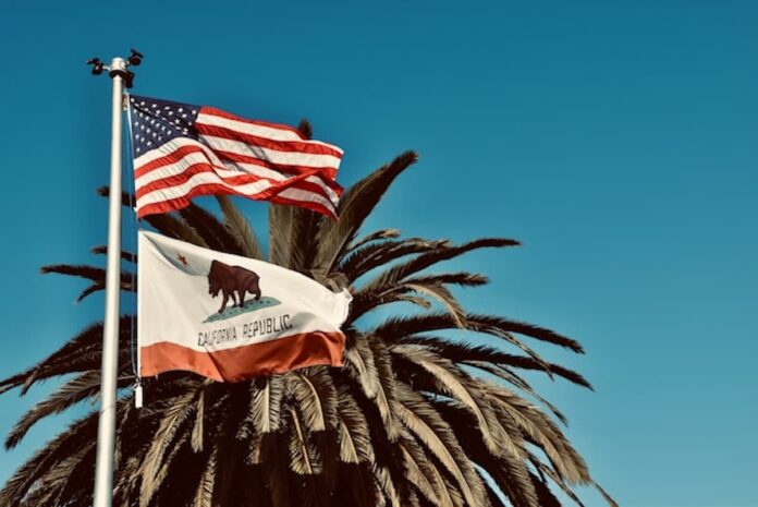 palm-flags-california-sky.jpg Palm tree with American and California flags waving in the wind against a clear blue sky