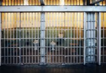 Row of prison cells with barred doors