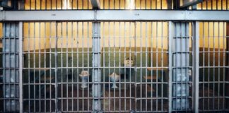 Muscogee Nation Casino Accountant Jailed Six Years After Stealing $25M to Gamble in Las Vegas Row of prison cells with barred doors