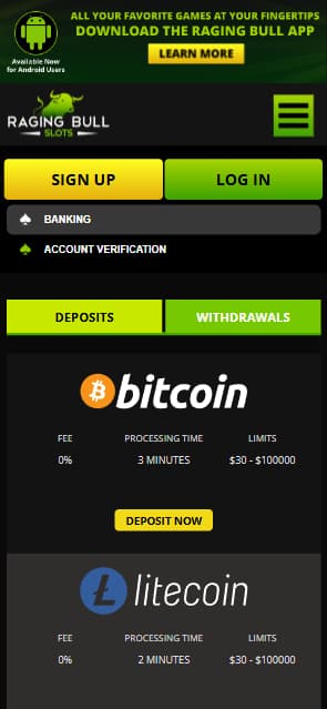 Raging bull slots banking options