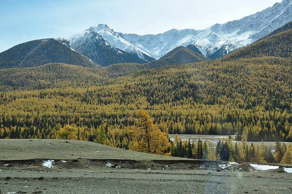 The mountainous Altai Republic, in Southern Russia.