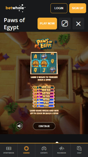 BetWhale Paws of Egypt