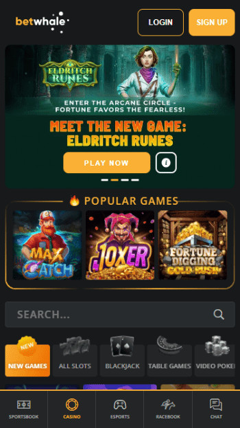 BetWhale homepage - stake alternative